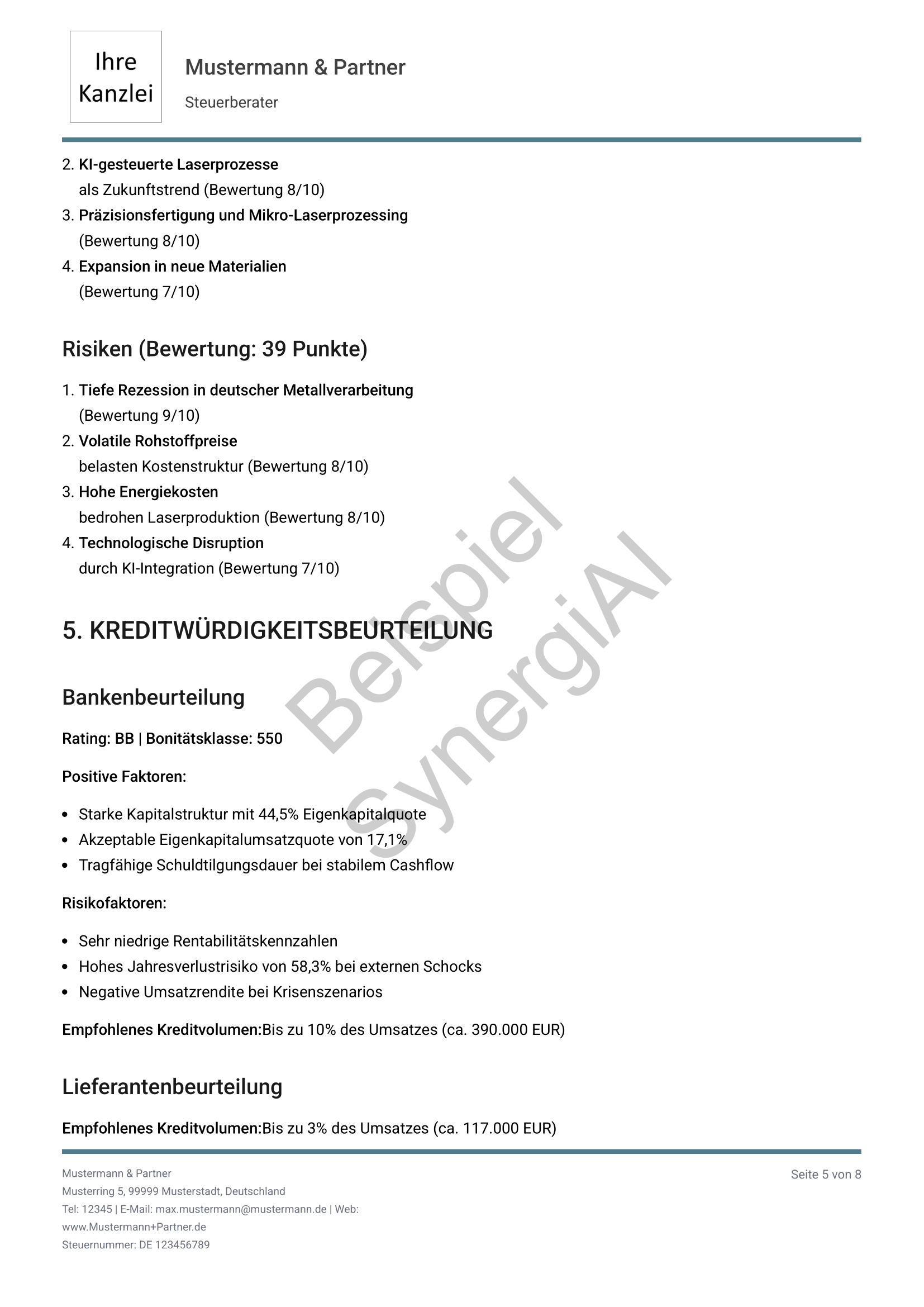 Bankfähiger Managementbericht Seite 5